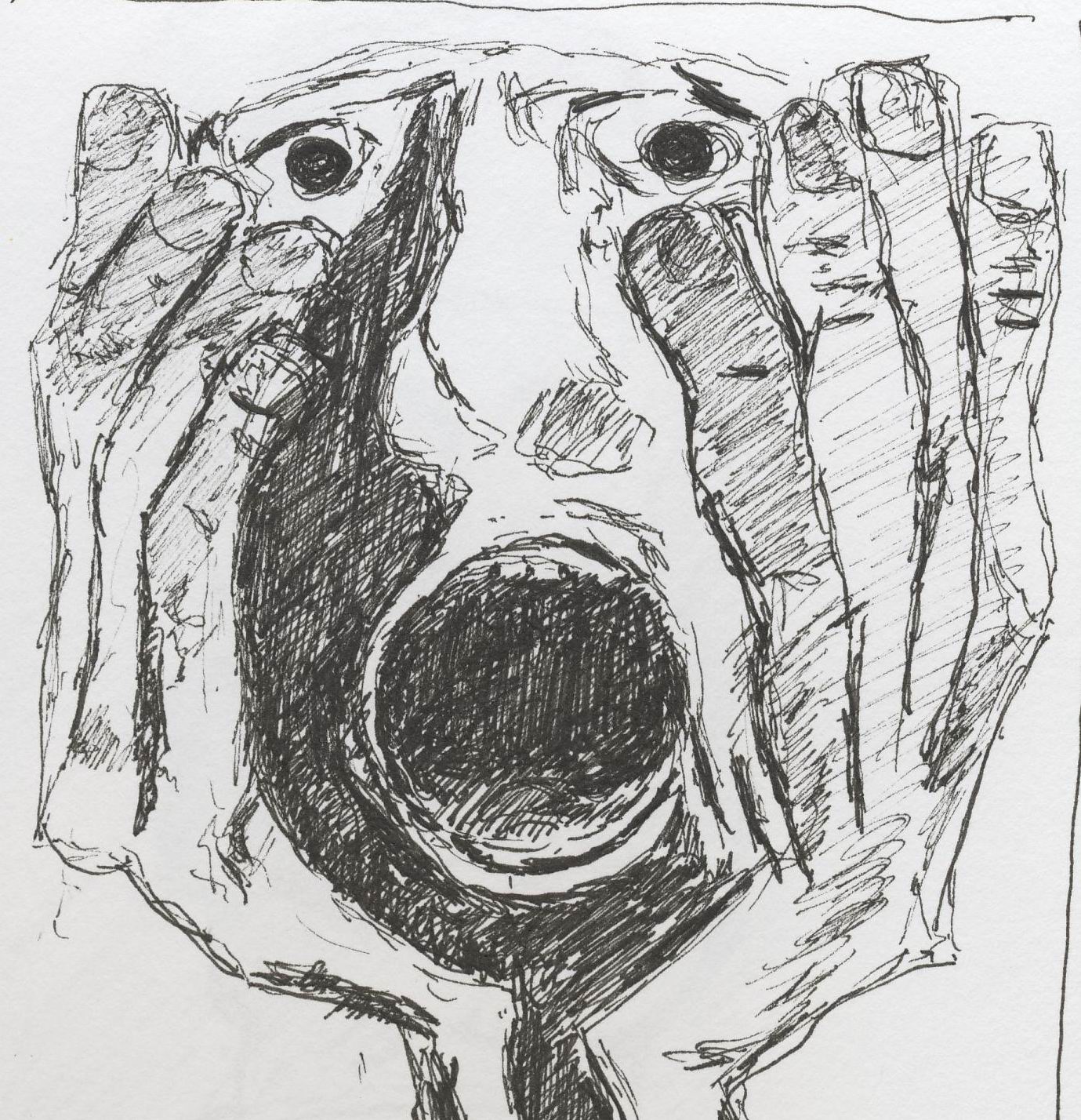 Museo Guyasam&iacute;n